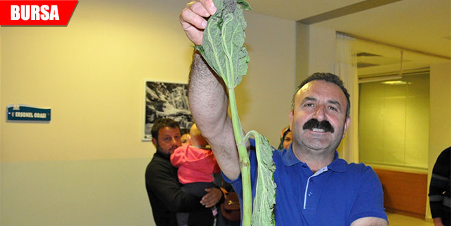 19 kişi yedikleri ottan zehirlendi