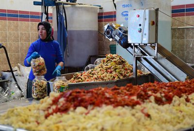 Turşu üretim merkezi köyde Ramazan mesaisi