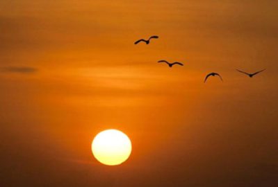 İngilizlerden Adıyaman’a ‘güneş’ parkı