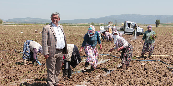 Yenişehirli çiftçiden umutlu başlangıç