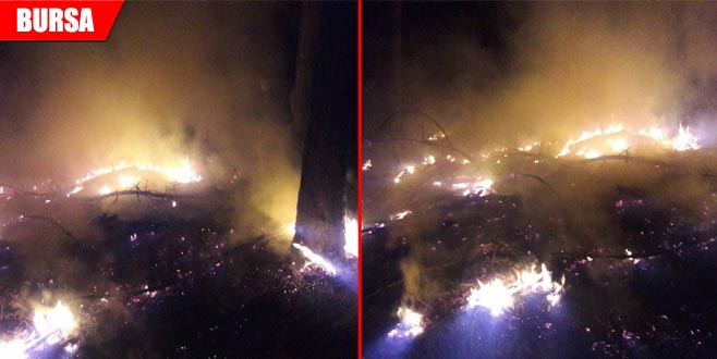 Yıldırım düştü, 2 dekar alan kül oldu