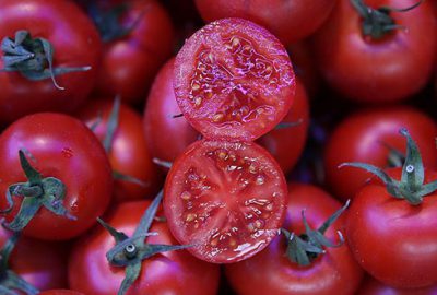 Moskova’dan domatese sınırsız vize