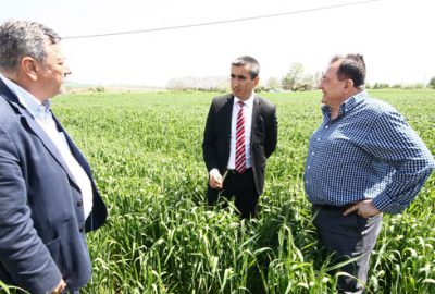 Yenişehirli çiftçiye kanola tavsiyesi