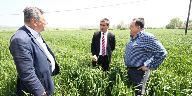 Yenişehirli çiftçiye kanola tavsiyesi