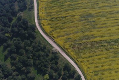 Üniversitenin kanola tarlası fotoğraf stüdyosu gibi