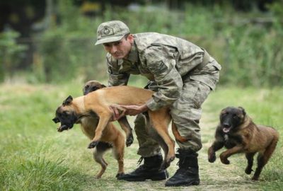 ‘Keskin burunlar’ Mehmetçik’i hain tuzaklardan kurtardı