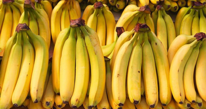 İçerisinde vitaminler, lifler, mineraller ve doğal şeker bulunan muz sağlığımıza