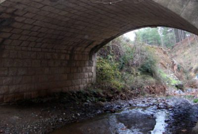 Ünlü yıldızın kızı, köprü altında yaşam mücadelesi veriyor
