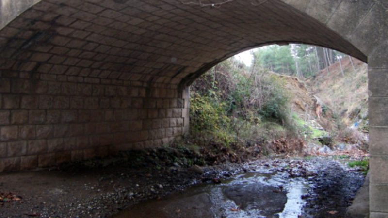 Forbes dergisi tarafından geçen yıl 49 milyon dolar kazandığı belirtilen