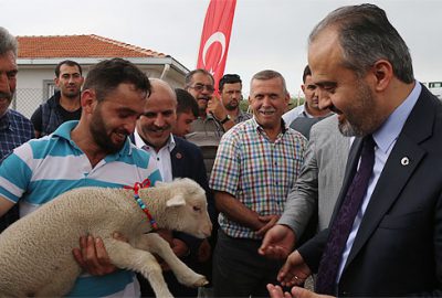 Büyükşehir’den koyun yetiştiricisine büyük destek