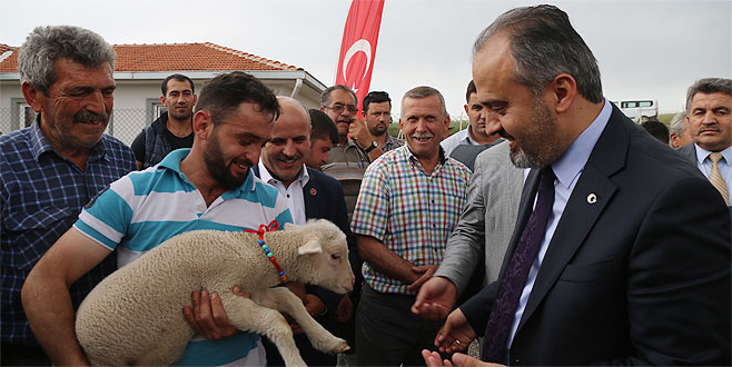 Büyükşehir’den koyun yetiştiricisine büyük destek