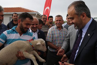 Koyun yetiştiricisine destek