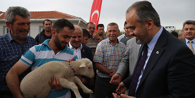 Koyun yetiştiricisine destek