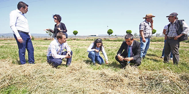 Yenişehir’de mera alanları genişleyecek