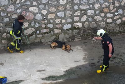 Bursa’da köpek kurtarma operasyonu