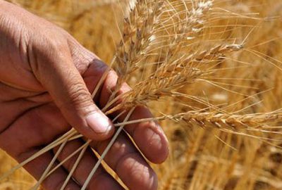 55 üründe ilk 10 sıradayız