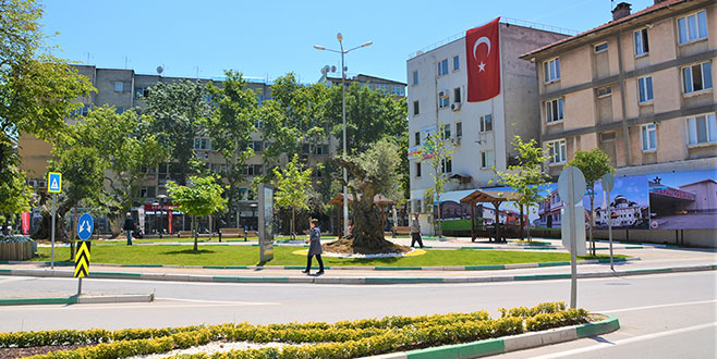 Gemlik çiçek açıyor