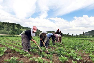 İsrail, Türkiye’den tarım ürünü ithalatını dondurdu