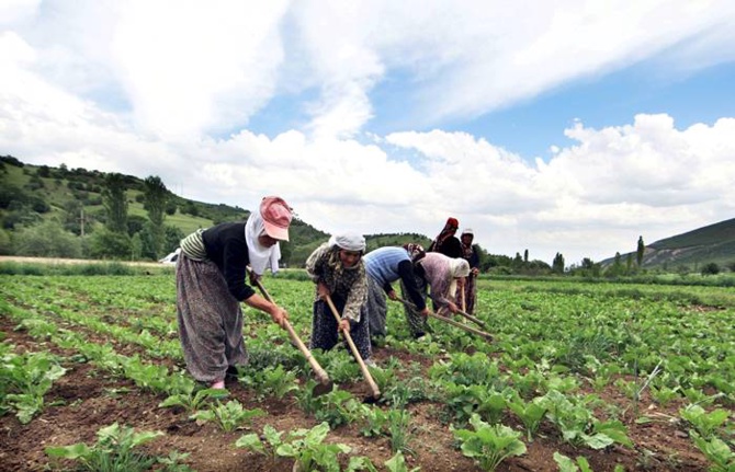 İsrail, Türkiye’den tarım ürünü ithalatını dondurdu İsrail, Türkiye’den tarım ürünü ithalatını dondurdu