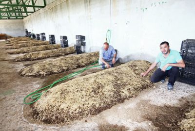 Solucan gübresine çiftçinin ilgisi artıyor