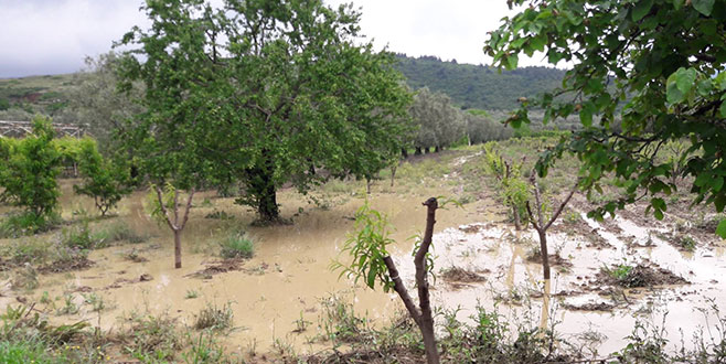 Bursa’da çiftçiyi sağanak yağıştan sonra dolu da vurdu