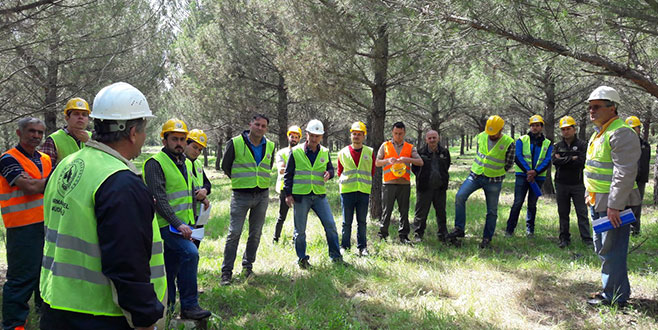 Ormancılardan üretim tatbikatı