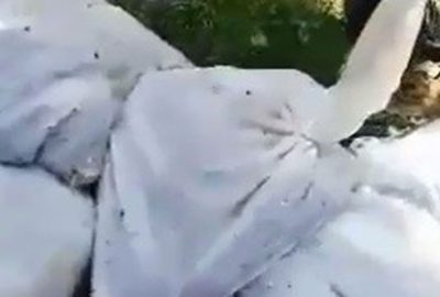 Ormana çuval içerisinde yüzlerce ölü tavuk atıldı