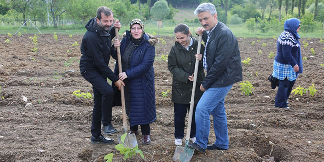 İpekböcekçiliği Gürsu’da yeniden canlanacak