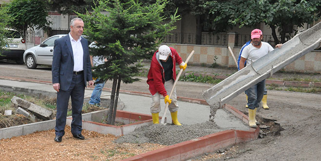 Süleymaniye’de beş korulukta düzenleme