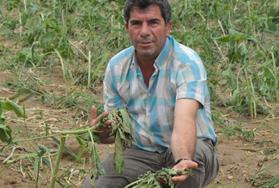 İnegöl’de dolu yağışı etkili oldu