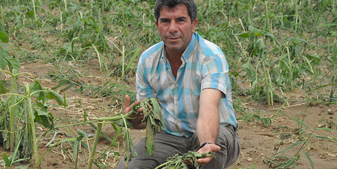 İnegöl’de dolu yağışı etkili oldu