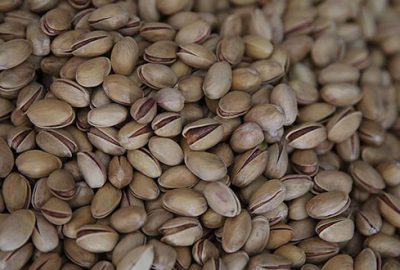 Mayıs yağmuru fıstık üreticisine ‘ilaç’ oldu