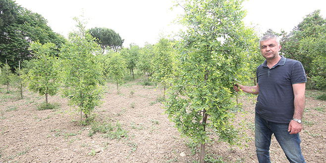 Yenişehir’de çiftçiye yeni ürün seçenekleri