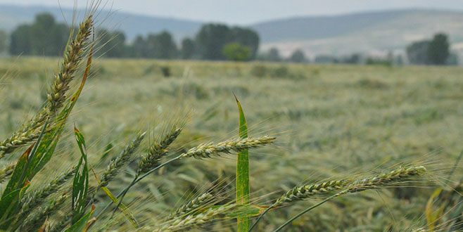 İnegöl’ü dolu vurdu