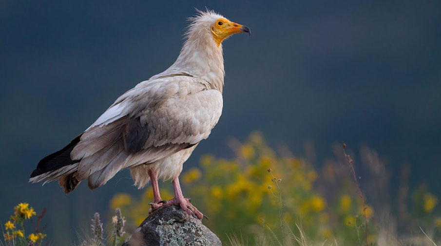 Şehir hayatı ‘boyut değiştiriyor’