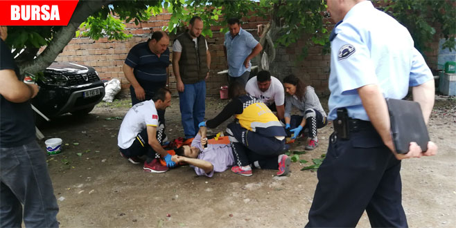 İftar vakti canı dut isteyince…