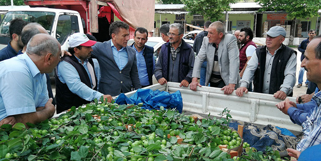 Sarıbal üreticiyi dinledi