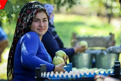 ‘Depolarda kalan armudu Rusya çekti’