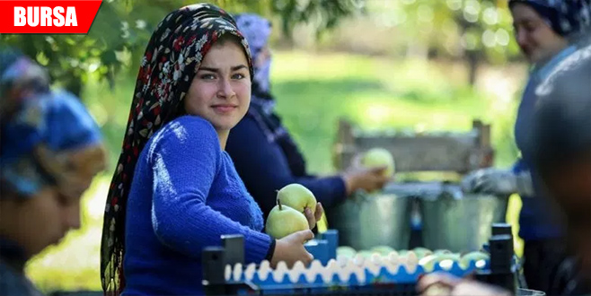 ‘Depolarda kalan armudu Rusya çekti’