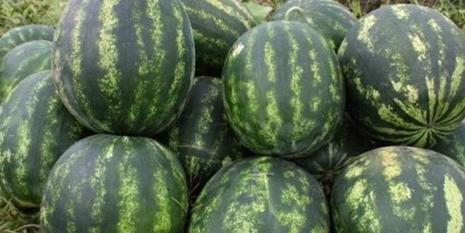 Adana karpuzu 1 lira düşük fiyatla piyasada