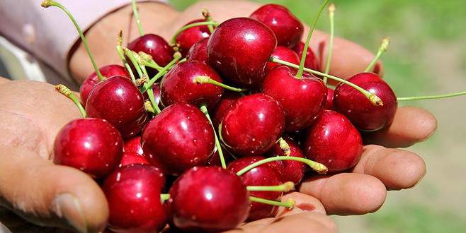 Türk kirazına Dünya Kupası dopingi