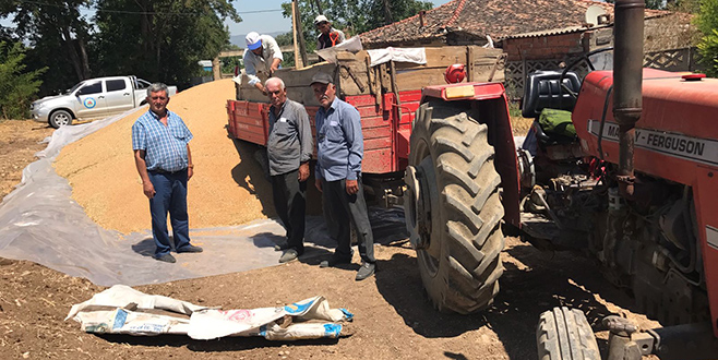 TMO Yenişehir’de alım merkezi kuruyor