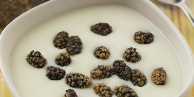 Yoğurtla birlikte tüketildiğinde öyle bir etkisi var ki!