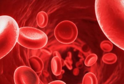 Kansızlık (anemi) hangi hastalıkların habercisi?