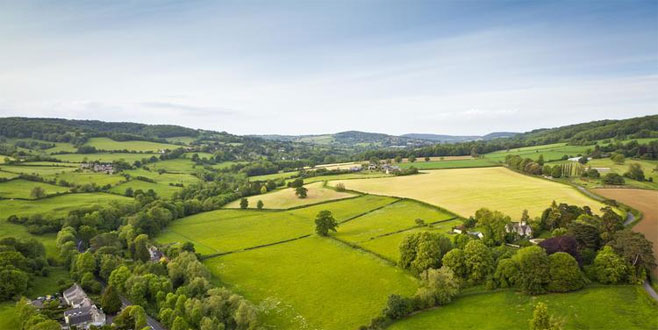 Bakan açıkladı: Tarım arazileriyle ilgili önemli değişiklik Bakan açıkladı: Tarım arazileriyle ilgili önemli değişiklik