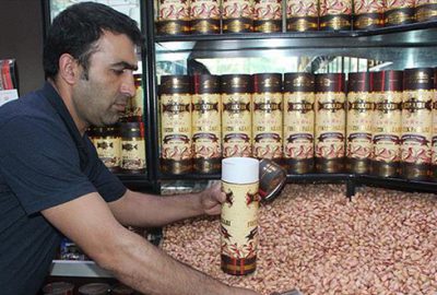 Devlet desteğiyle ‘fıstık’ gibi yatırım