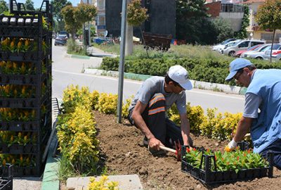 Kavşak ve orta refüjler renkleniyor