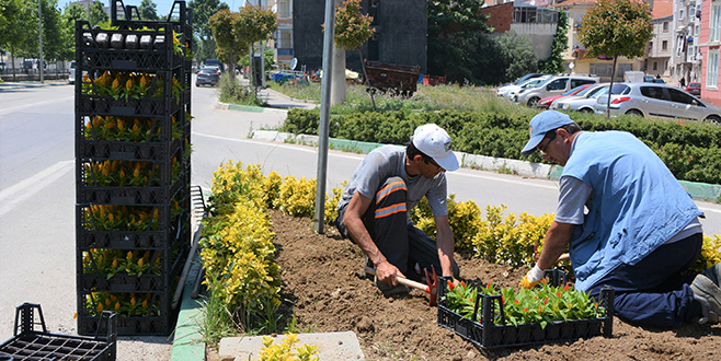 Kavşak ve orta refüjler renkleniyor