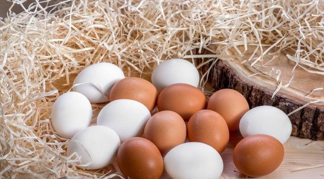 Beyaz ve kahverengi yumurta arasındaki bu farkı biliyor musunuz?