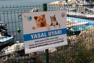Sokak hayvanları için uyarı levhası